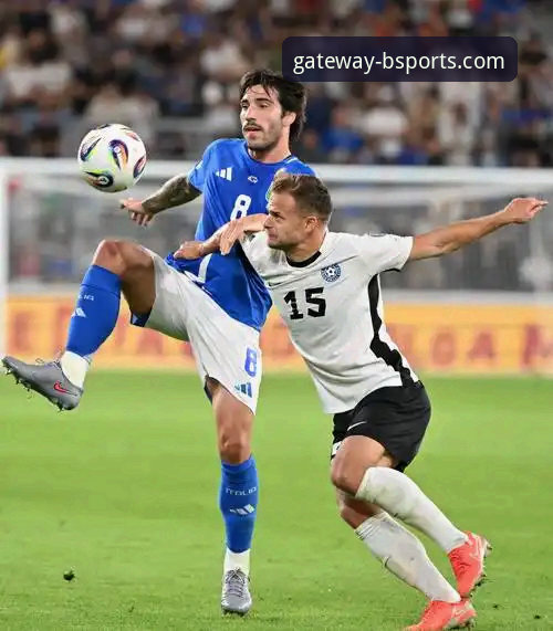 意大利队世预赛再折戟，BSports官方入口赛事直播带来深度解析