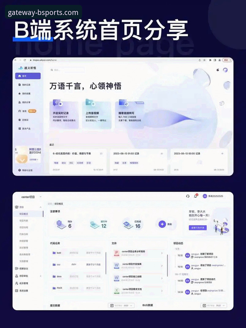 BSports官方入口下载遇到问题？资深用户教你如何解决并畅玩